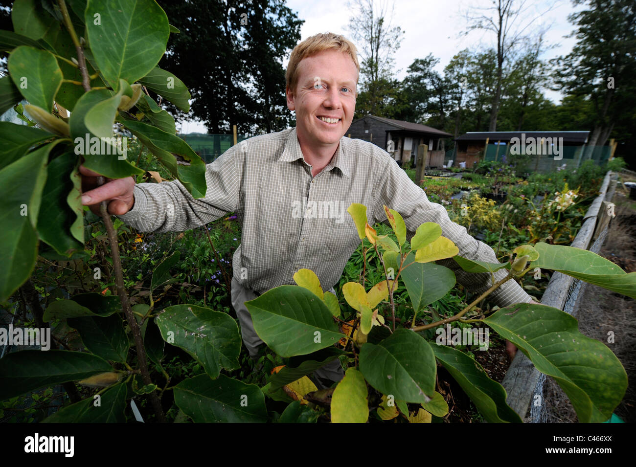 Tom Mitchell che è andato in pensione come una città investment banker per stabilire uno specialista di piante rare vivaio a casa sua Cherry Orchard Fa Foto Stock