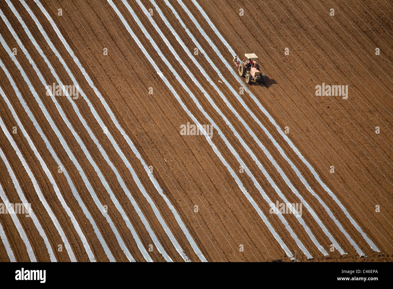 Fotografia aerea dell'agricoltura campi del Dan metropoli Foto Stock