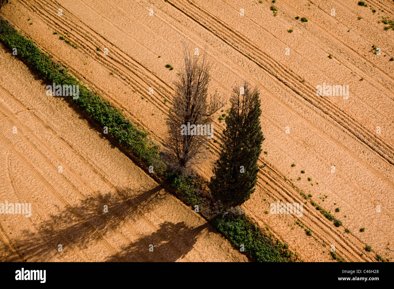 Fotografia aerea dell'agricoltura campi di Sharon Foto Stock