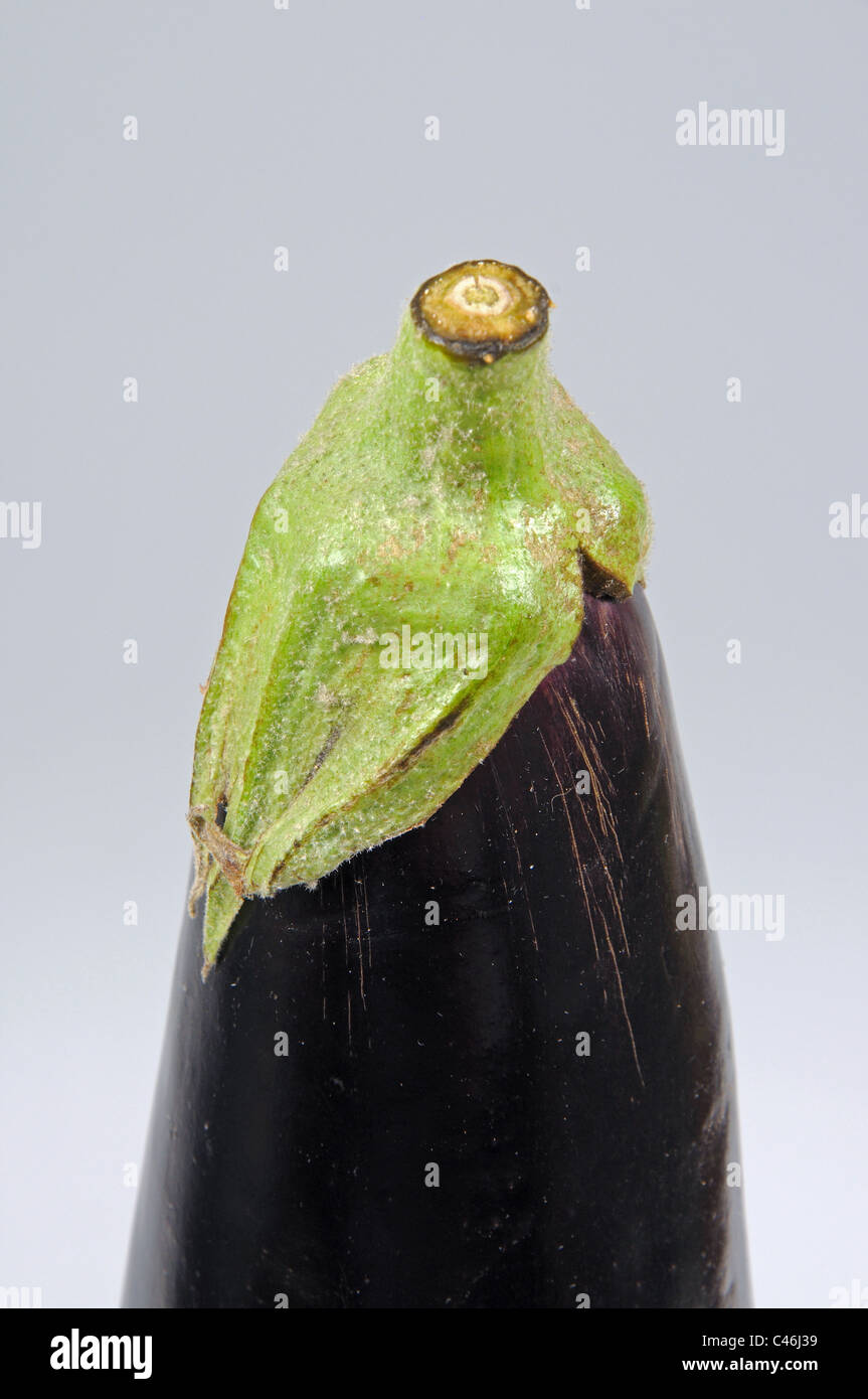 Le melanzane (melanzana), Calypso, Costa del Sol, provincia di Malaga, Andalusia, Spagna, Europa occidentale. Foto Stock