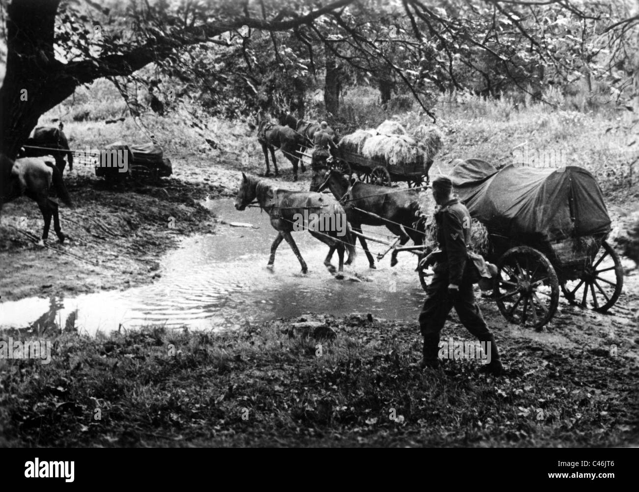 La seconda guerra mondiale: le truppe tedesche di attaccare Stalingrado tra i fiumi Donez e Don, 28/06/1942-agosto 1942 Foto Stock