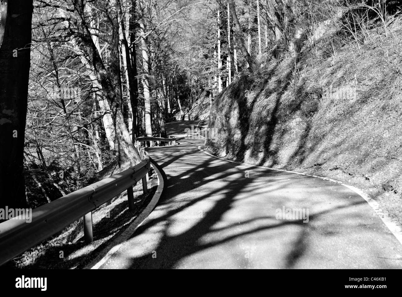 Strada di montagna nella foresta di larici Foto Stock