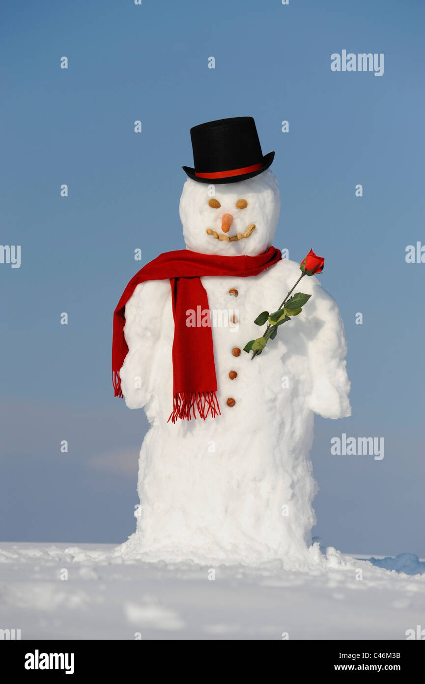 Pupazzo di neve a Natale con il cappello e scialle Foto Stock
