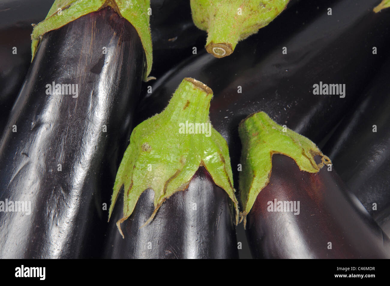 Le melanzane (melanzana), Calypso, Costa del Sol, provincia di Malaga, Andalusia, Spagna, Europa occidentale. Foto Stock