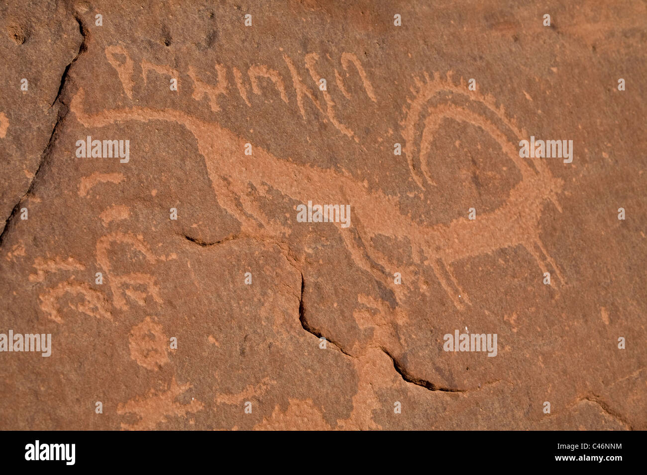 Fotografia di una parete scolpita nel deserto giordano Foto Stock