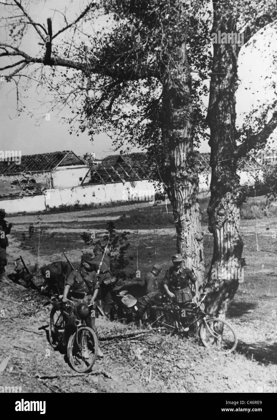 La seconda guerra mondiale: Terek River Front, Caucaso, Settembre - Novembre 1942 Foto Stock