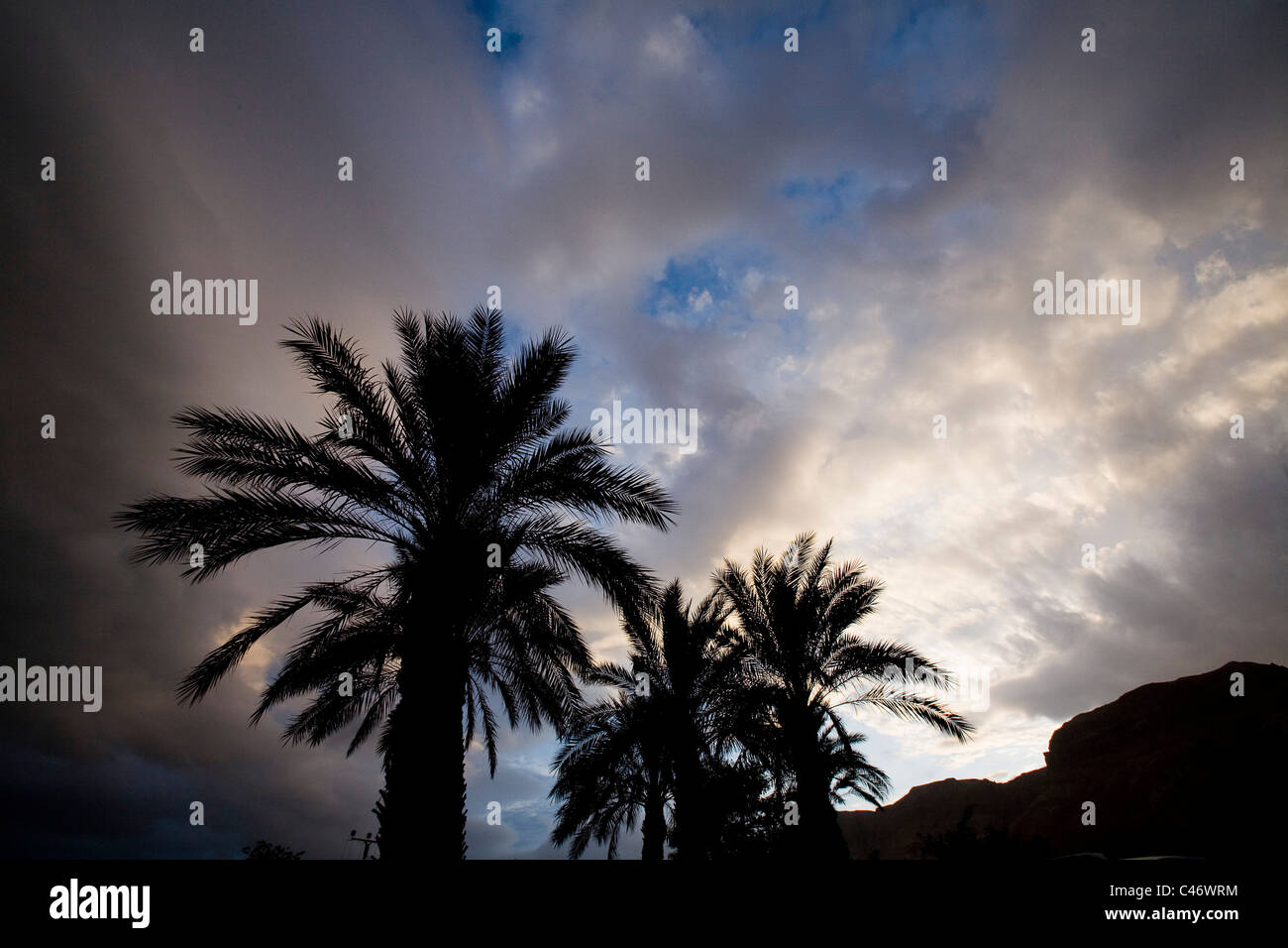 Fotografia del crepuscolo cielo sopra gli alberi di palme nel deserto della Giudea Foto Stock
