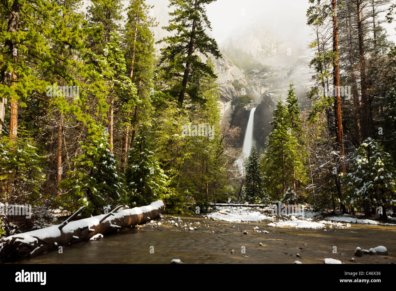 Romantica vista tranquilla della famosa abbassare Yosemite Falls in US National Park con un fresco e verde e lussureggiante foresta della molla e la molla di fresca neve caduta nel Maggio Foto Stock