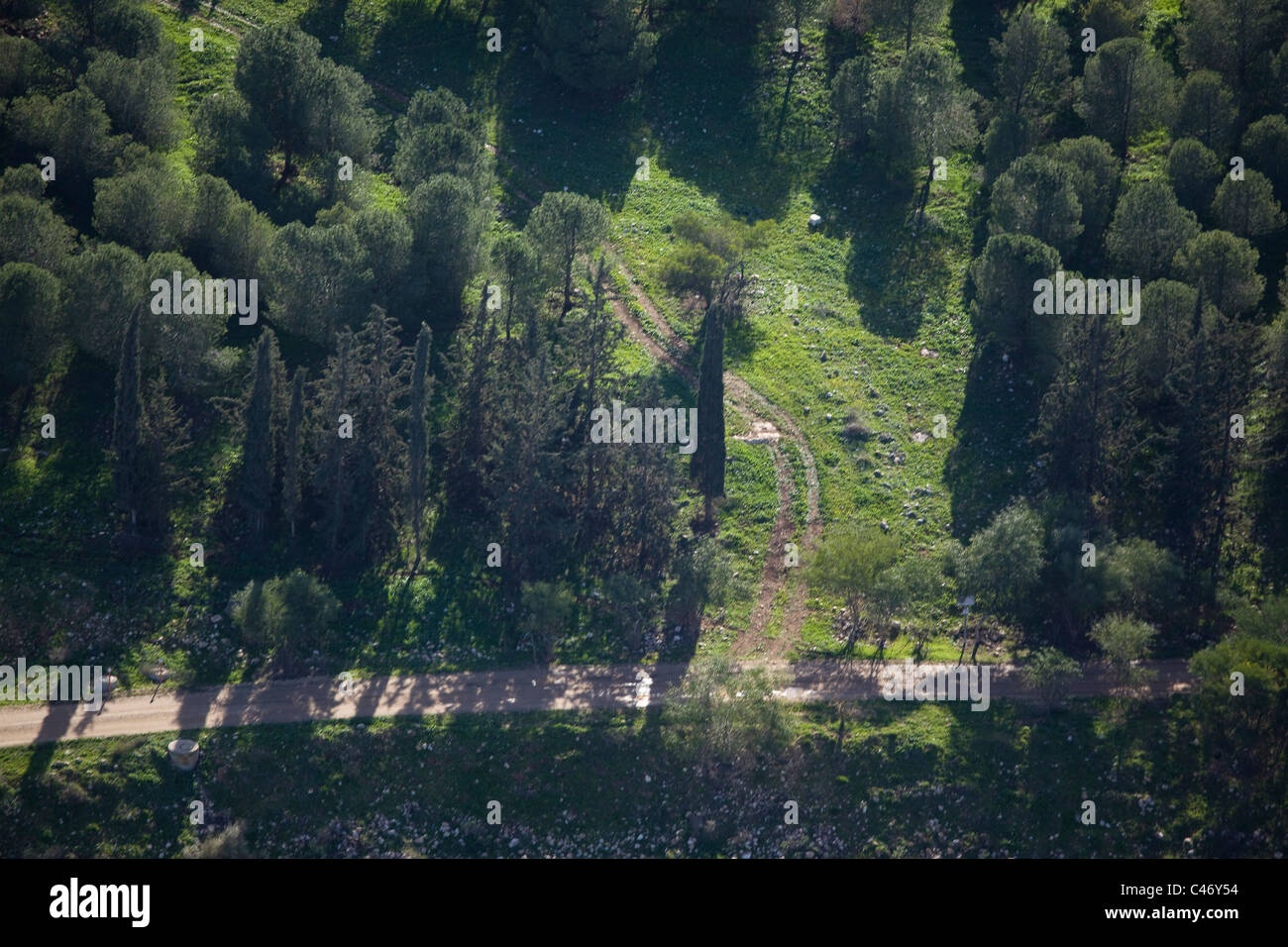 Fotografia aerea di un boschetto in Galilea Foto Stock