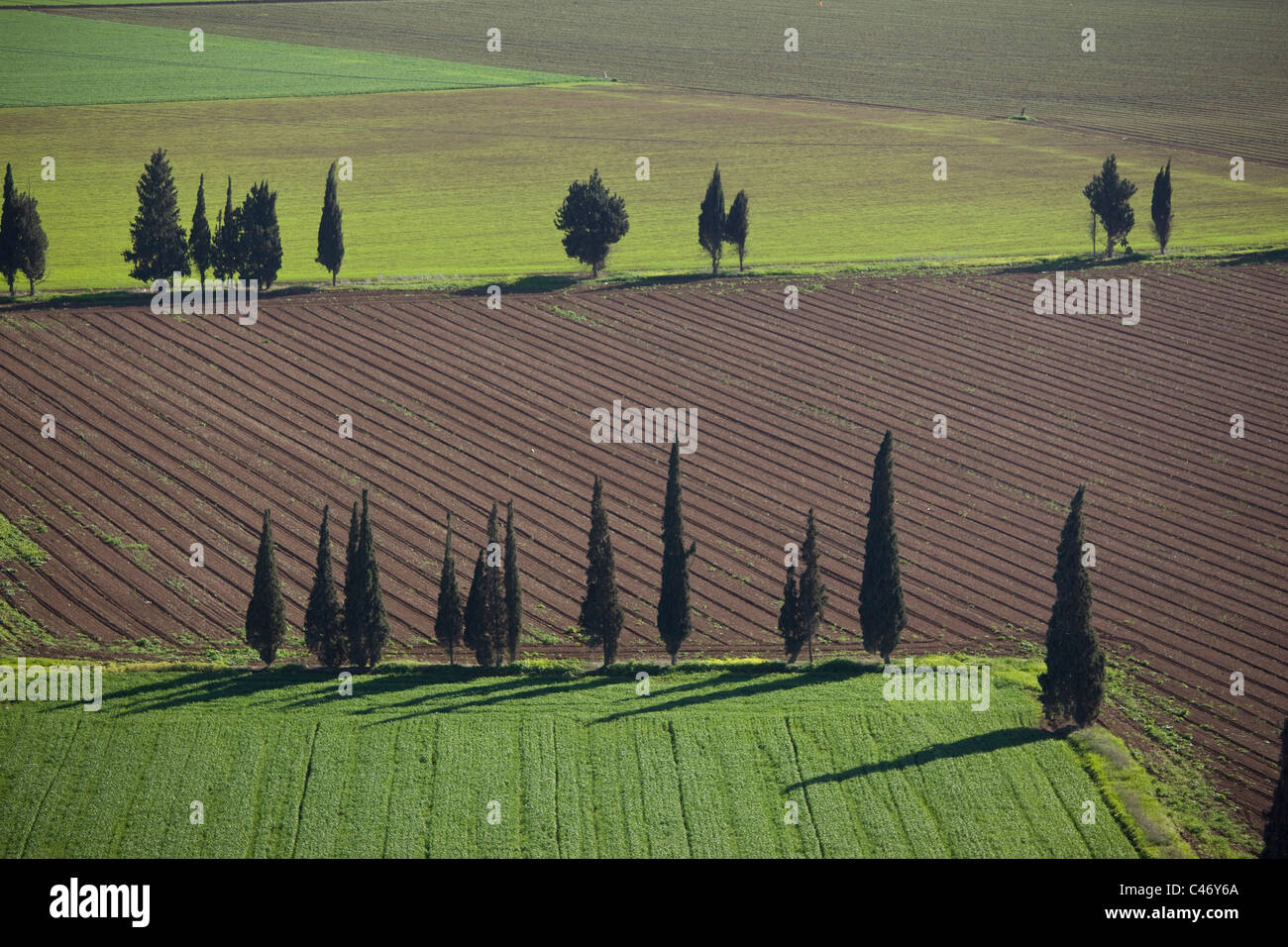Fotografia aerea dell'agricoltura campi della Galilea Foto Stock
