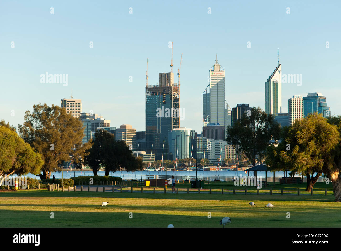 Vista su James Mitchell Park al Fiume Swan e dello skyline della citta'. Perth, Western Australia, Australia Foto Stock