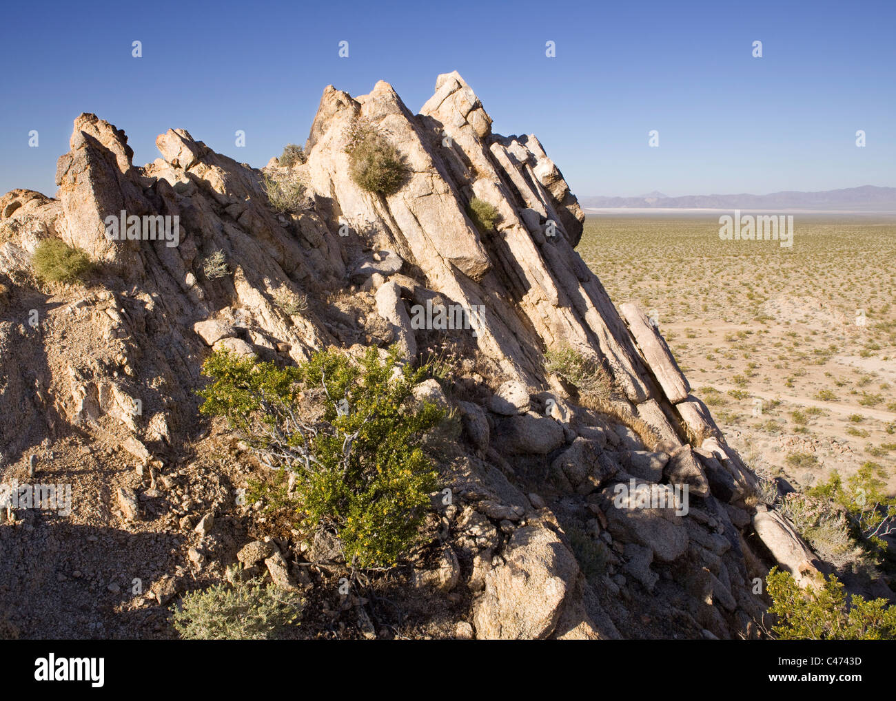 Gneiss strati di roccia sporgono orizzontalmente dal pavimento del Deserto Mojave piano - California USA Foto Stock