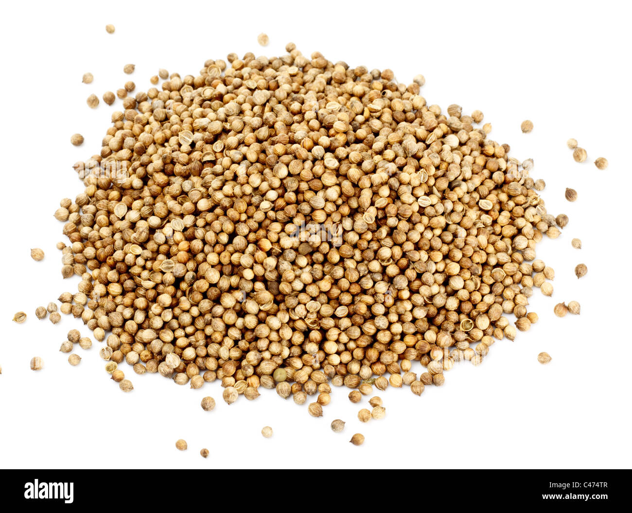 Molti semi di coriandolo isolati su sfondo bianco Foto Stock