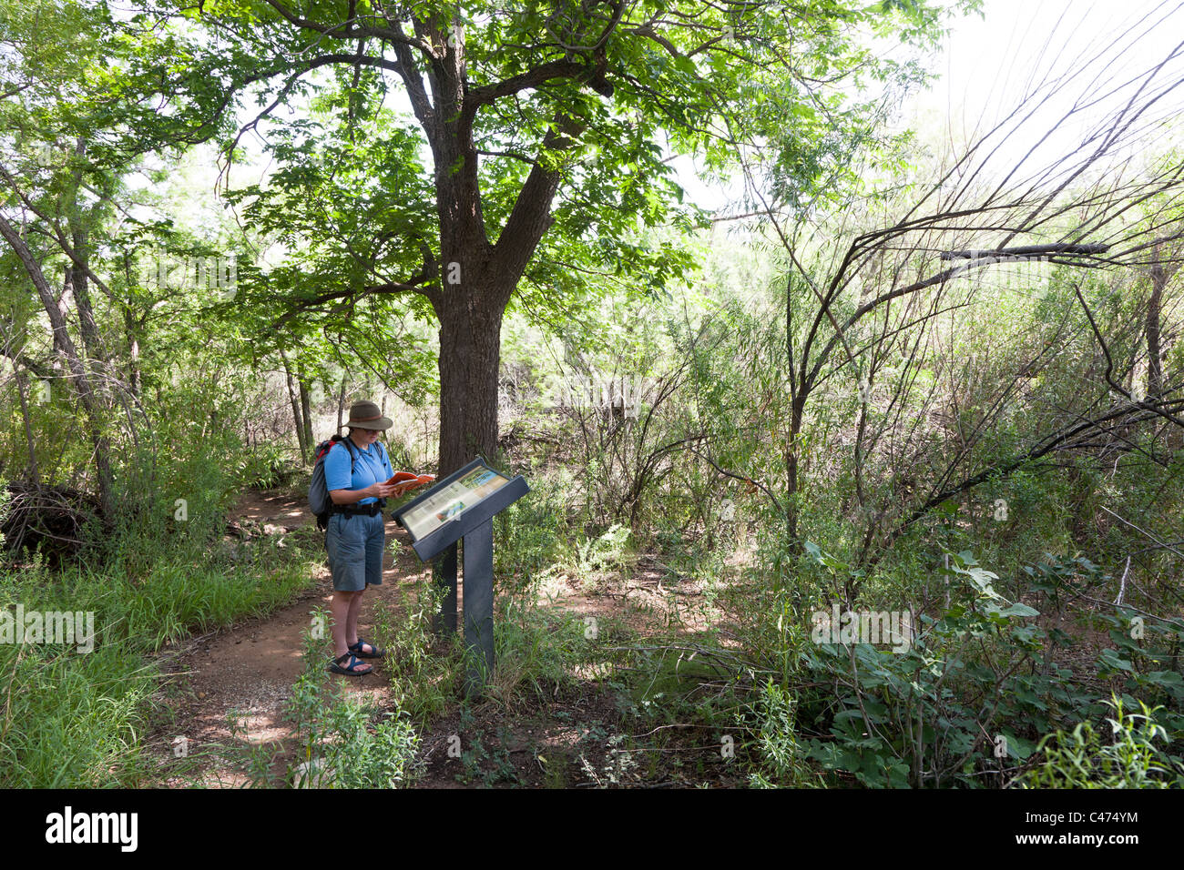 Persona la lettura delle informazioni sui visitatori segno in piroga Wells resti di un villaggio nel deserto Parco nazionale di Big Bend Texas USA Foto Stock