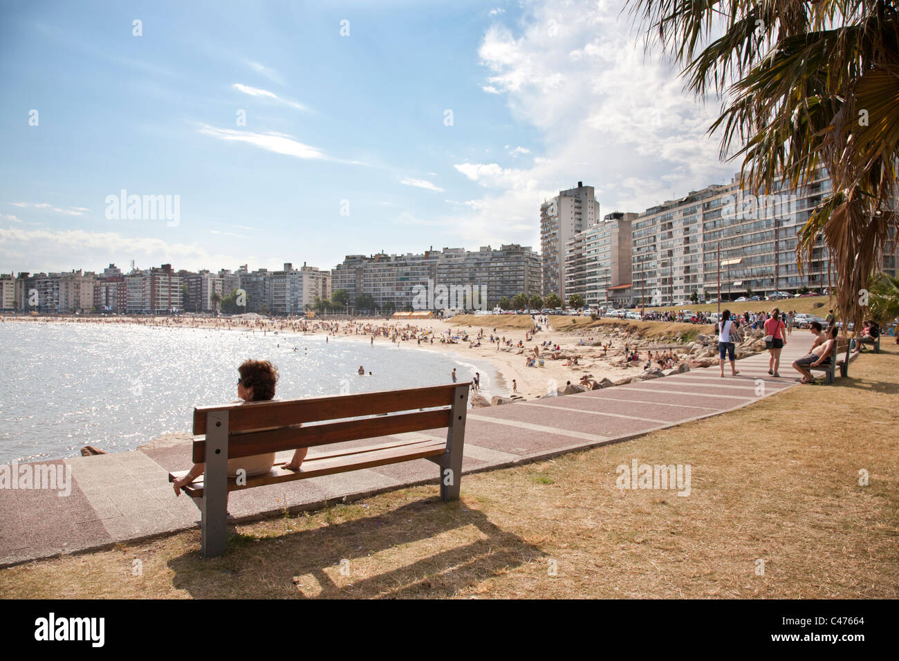 Playa Pocitos, City Beach, Montevideo, Uruguay. Foto Stock
