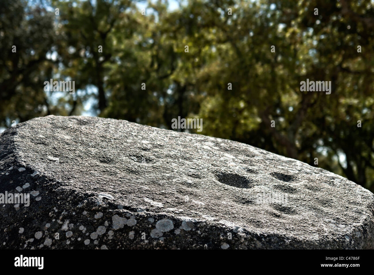Decorate menhir nel monumento megalitico di Cromelech dos Almendres - Evora - Portogallo Foto Stock