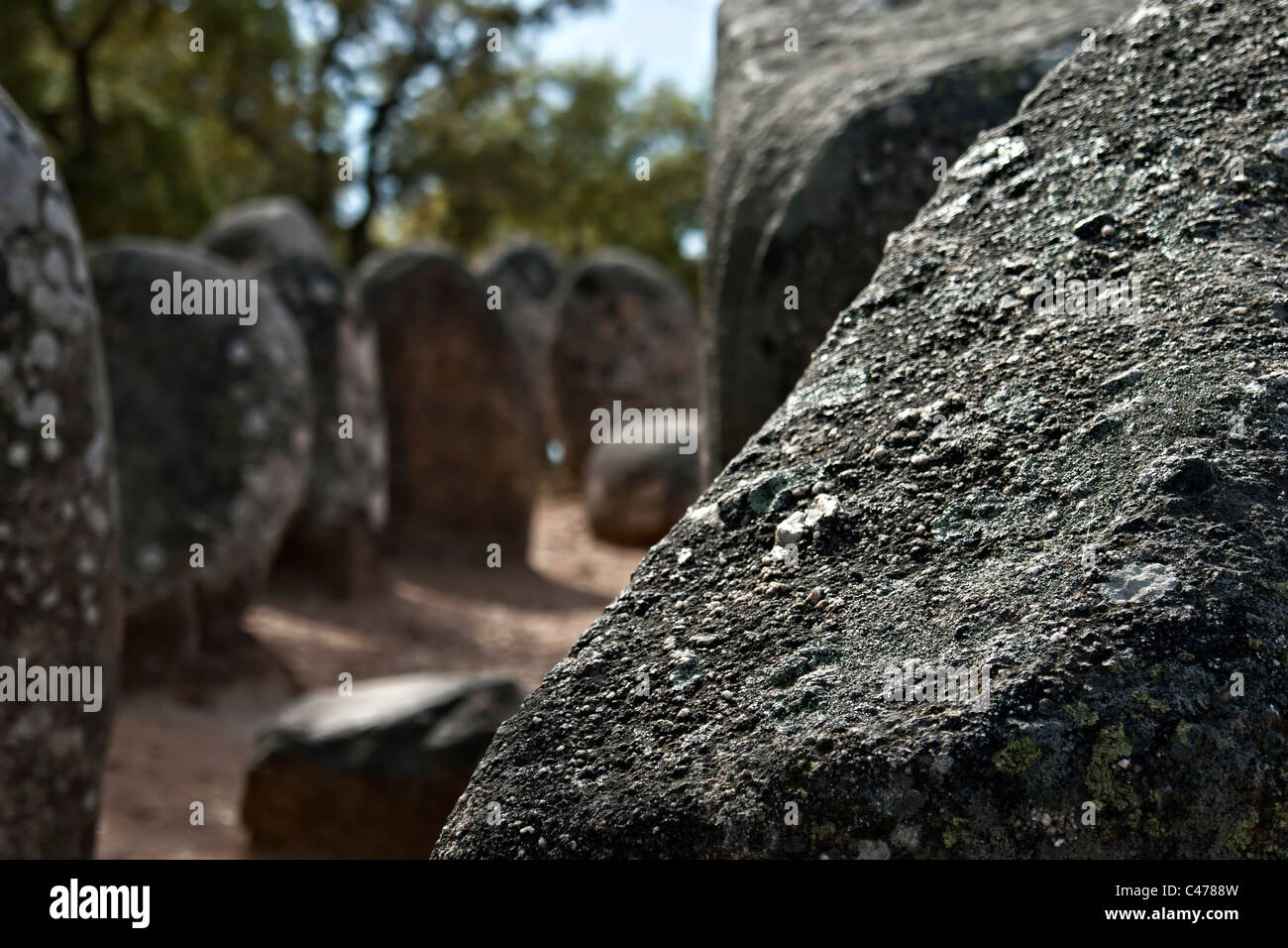 I menhir di monumento megalitico di Cromelech dos Almendres - Evora - Portogallo Foto Stock