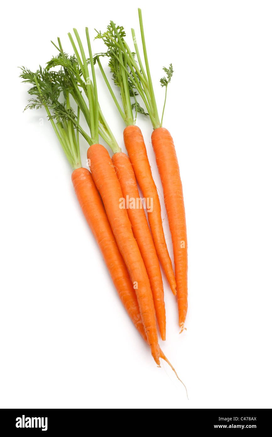 La carota con sfondo bianco Foto Stock