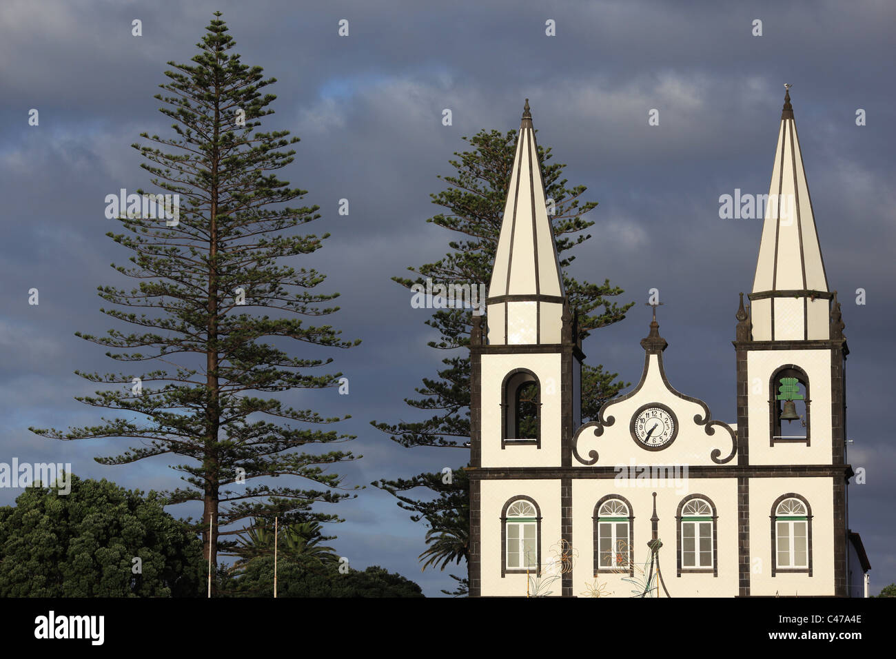 Santa Maria Madalena chiesa, circondato da due giganti di Isola Norfolk Pine (Araucaria heterophylla), Madalena, isola Pico, Azzorre Foto Stock