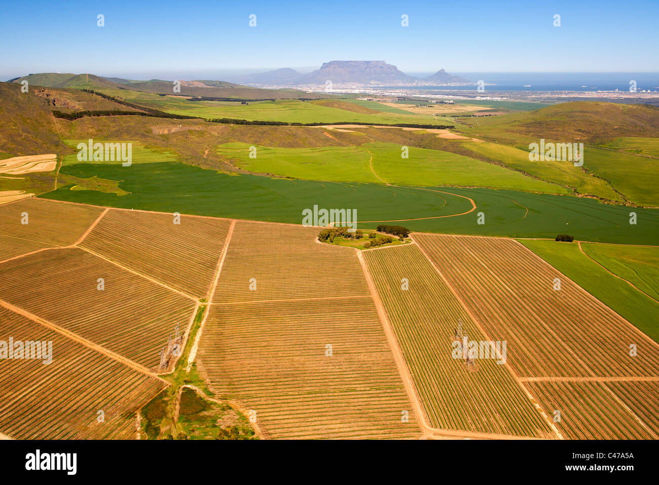 Veduta aerea dei campi agricoli nella Contermanskloof Fisantekraal e la zona a nord di Città del Capo in Sud Africa. Foto Stock