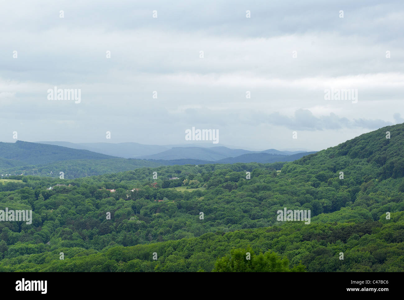 Vienna, Austria, paesaggio, Wien, Österreich, Landschaft, colline, Viena Foto Stock