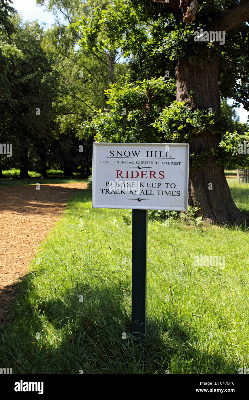 Segno per i piloti del Cavallino a Snow Hill in Windsor Great Park, Berkshire, Inghilterra, Regno Unito Foto Stock