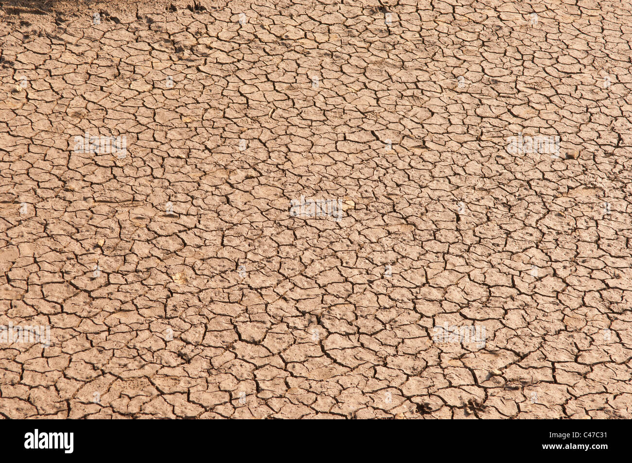 Un Regno Unito siccità lascia il stagno fangoso secche e screpolate Foto Stock