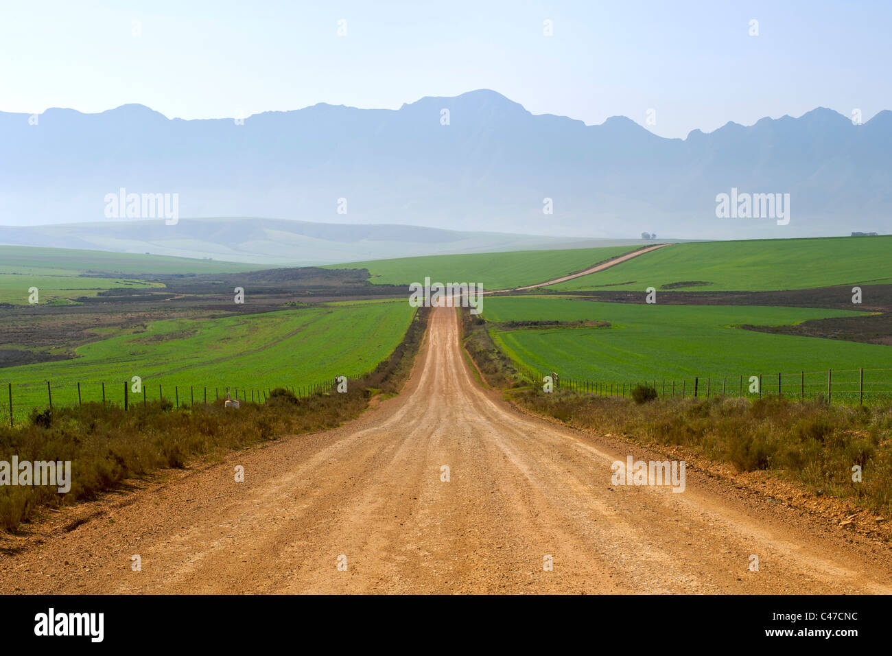 Strada sterrata per Nethercourt dall'autostrada N2 vicino a Caledon in Sud Africa la provincia del Capo occidentale. Foto Stock