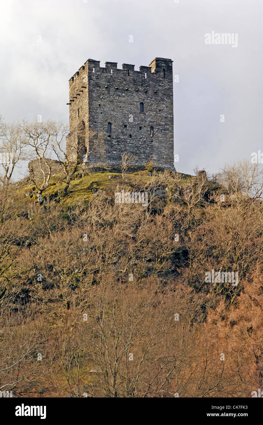 Il castello di Dolwyddelan Dolwyddelan, North Wales.Costruito nel XIII secolo da LLywelyn il grande. Foto Stock