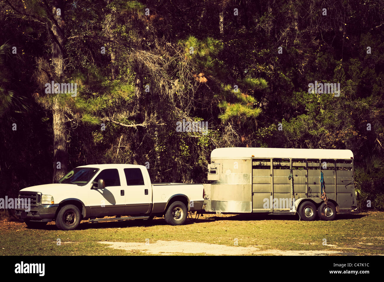 Pick up con rimorchio a cavallo Foto Stock