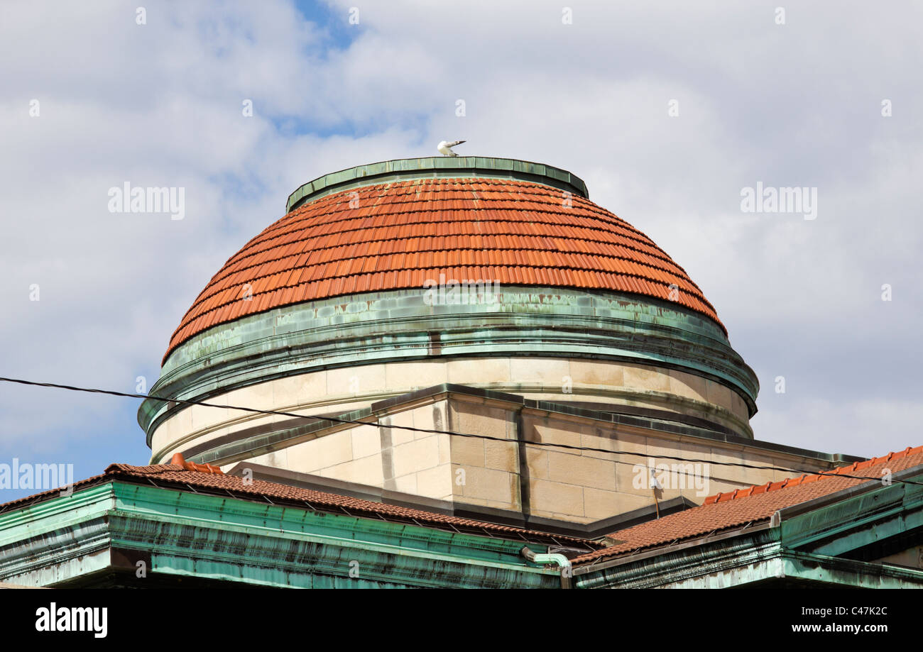 Cupola della biblioteca pubblica di Oshkosh Foto Stock