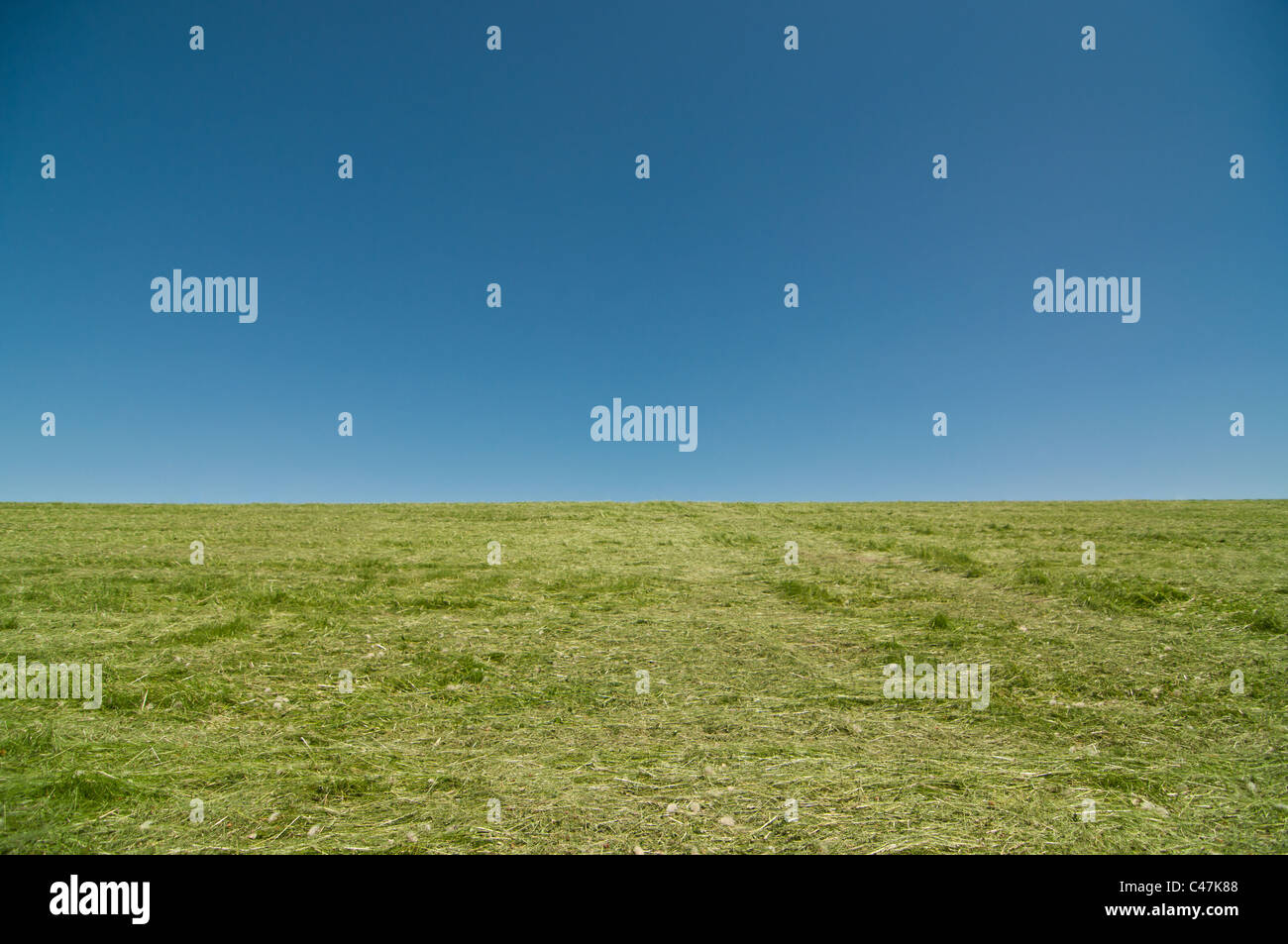 Una collina ricoperta di verde brillante, di recente il taglio di erba si erge di fronte a un profondo cielo blu. Foto Stock