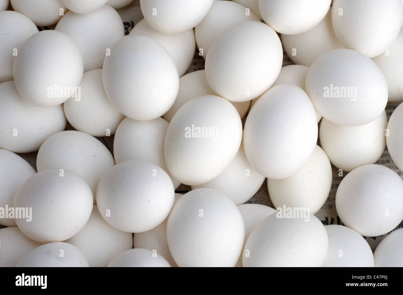 Close-up di ovuli di animali Foto Stock
