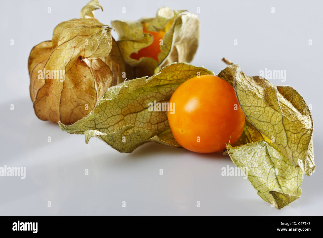 Studio shot di ribes del capo (physalis peruviana) Foto Stock