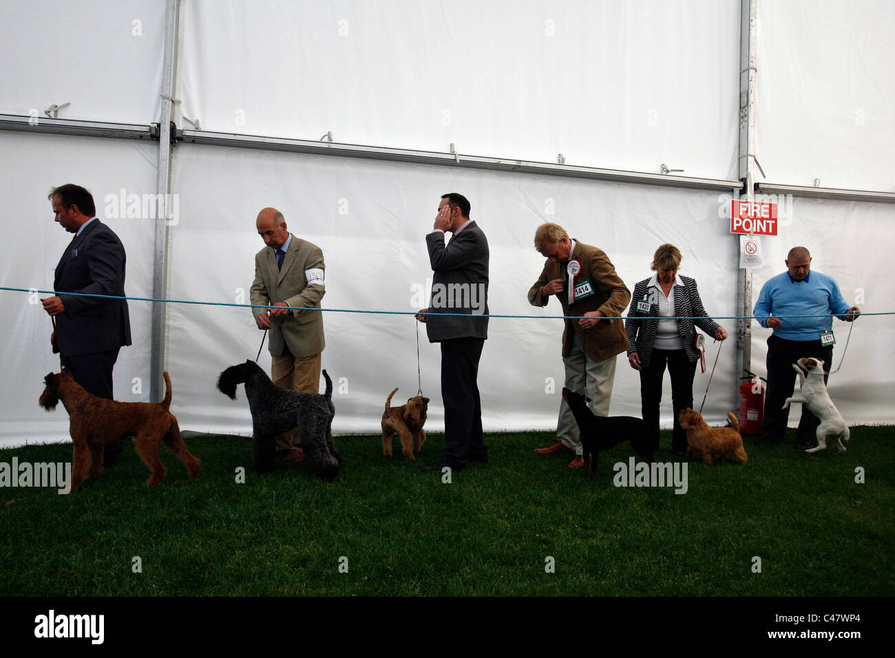 Scottish Kennel Club show Foto Stock