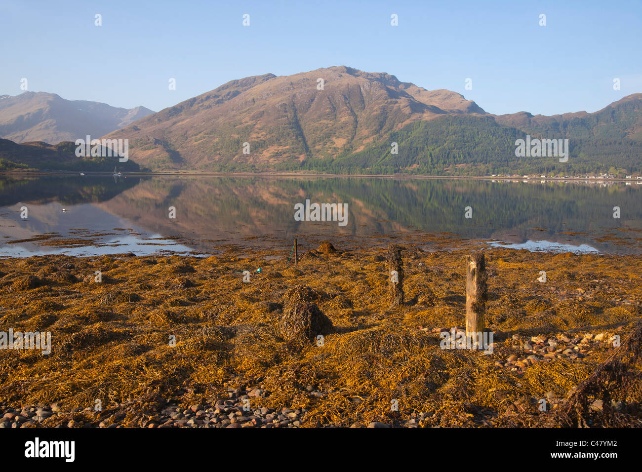 Loch Duich, dawn, Lochalsh, Shiel Bridge, regione delle Highlands, Scozia Foto Stock