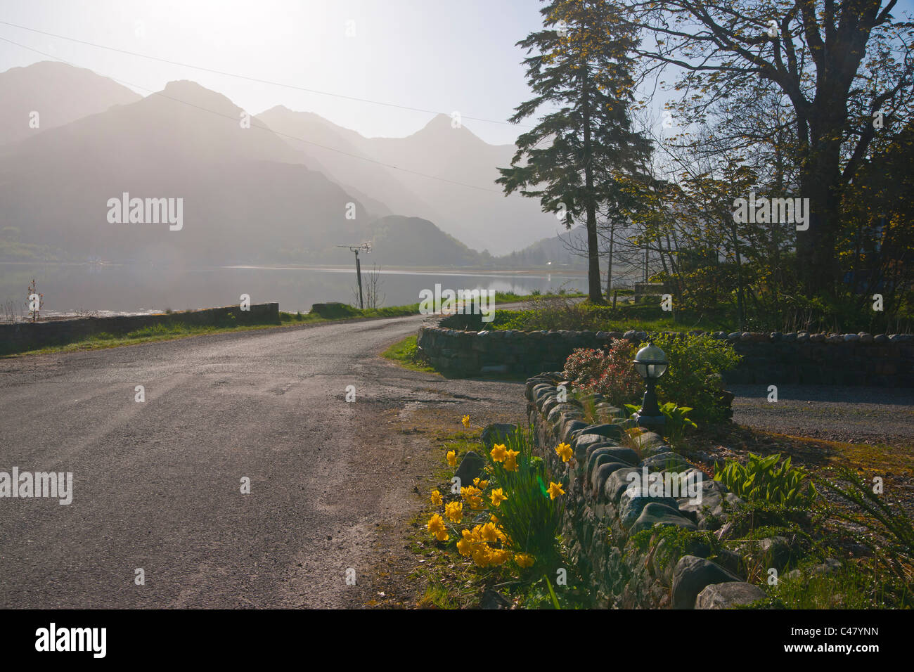 Loch Duich, dawn, Lochalsh, Shiel Bridge, regione delle Highlands, Scozia Foto Stock