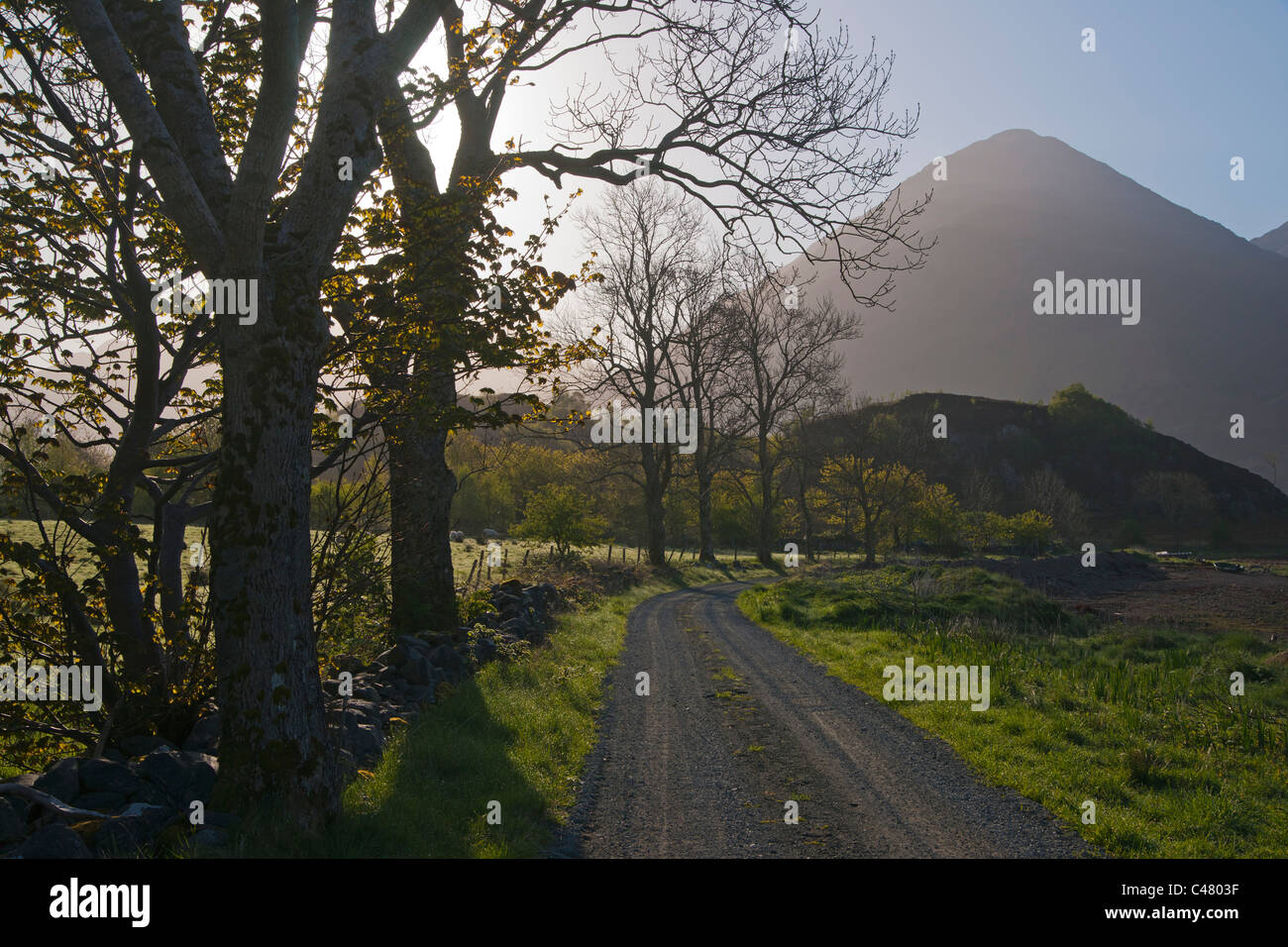 Loch Duich, dawn, Lochalsh, Shiel Bridge, regione delle Highlands, Scozia Foto Stock