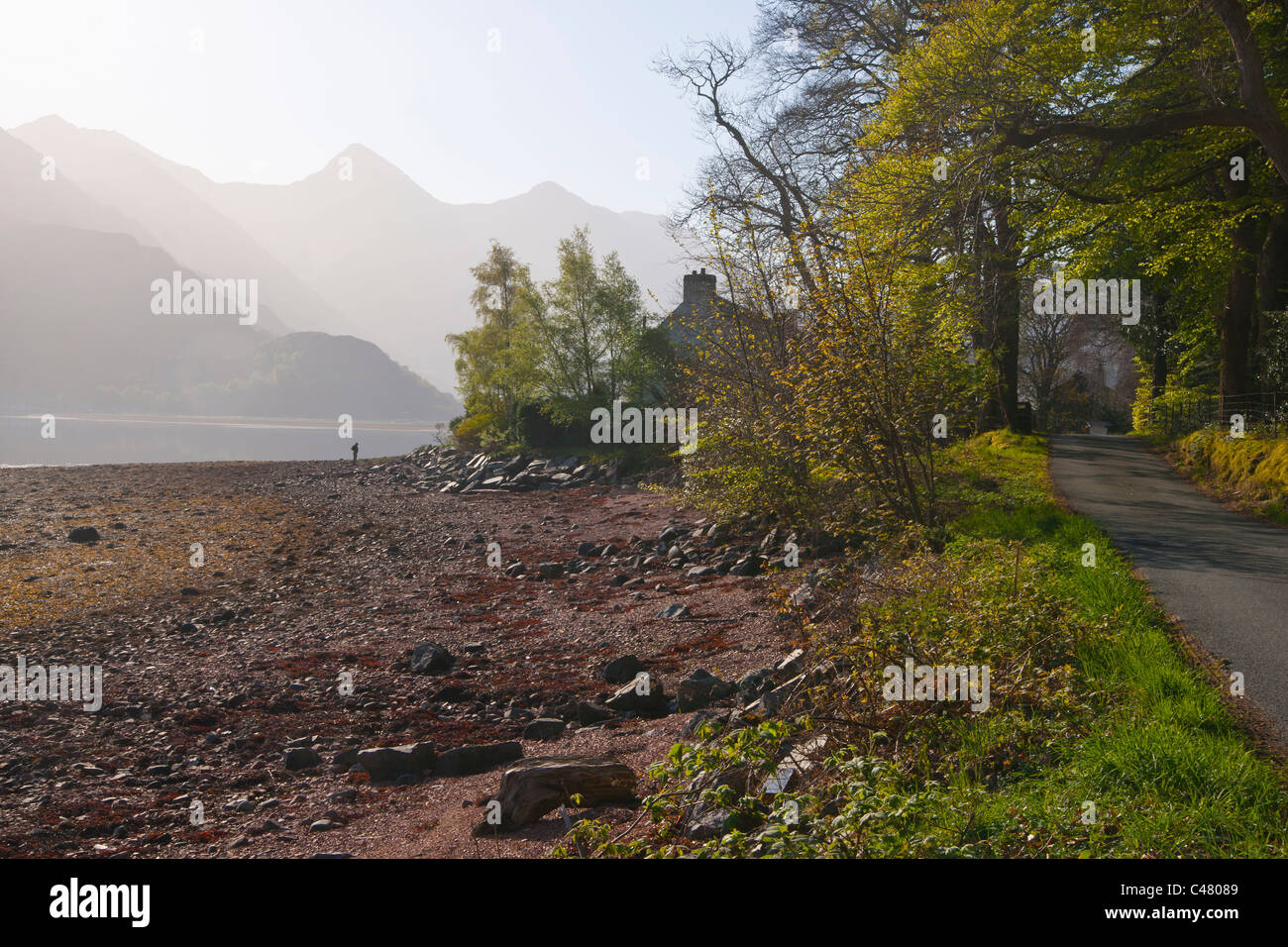 Loch Duich, dawn, Lochalsh, Shiel Bridge, regione delle Highlands, Scozia Foto Stock