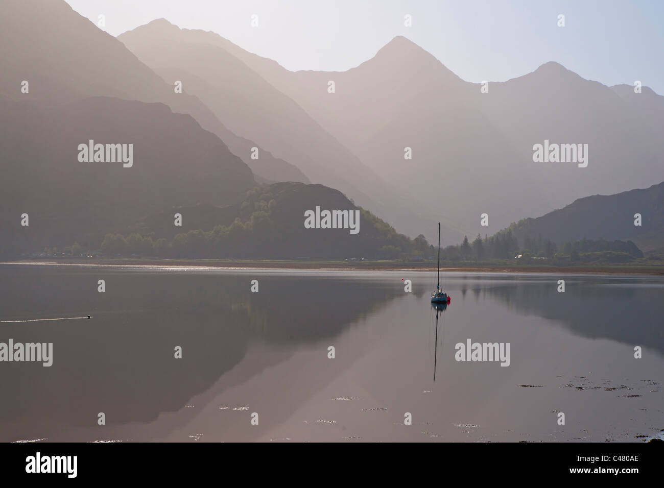 Loch Duich, dawn, Lochalsh, Shiel Bridge, regione delle Highlands, Scozia Foto Stock