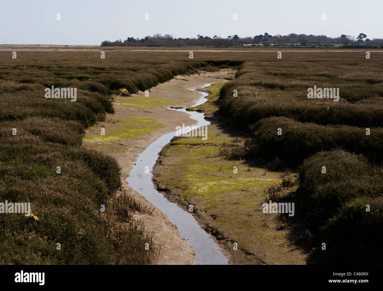 Velme di marea a Pagham Harbour, West Sussex, Regno Unito Foto Stock