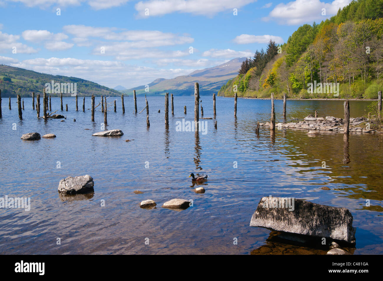 Loch Tay, Fearnan molo vecchio, Perthshire, Scotland, Regno Unito Foto Stock