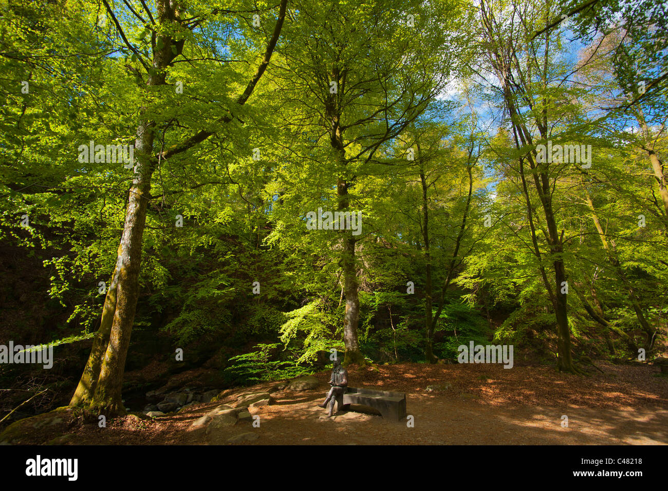 Birks di Aberfeldy, Perthshire, Scotland, Regno Unito Foto Stock