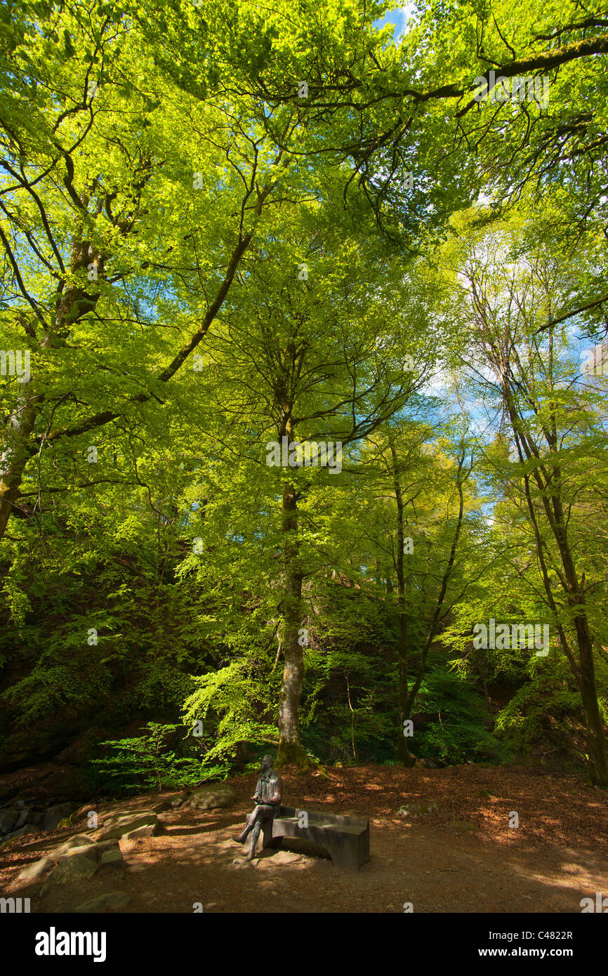Birks di Aberfeldy, Perthshire, Scotland, Regno Unito Foto Stock
