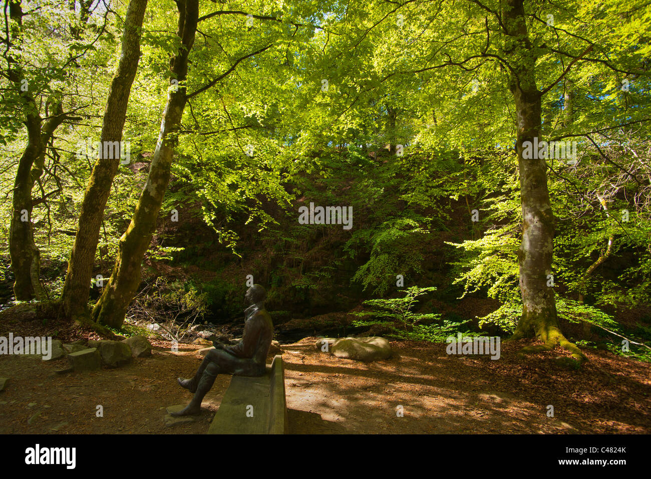 Birks di Aberfeldy, Perthshire, Scotland, Regno Unito Foto Stock