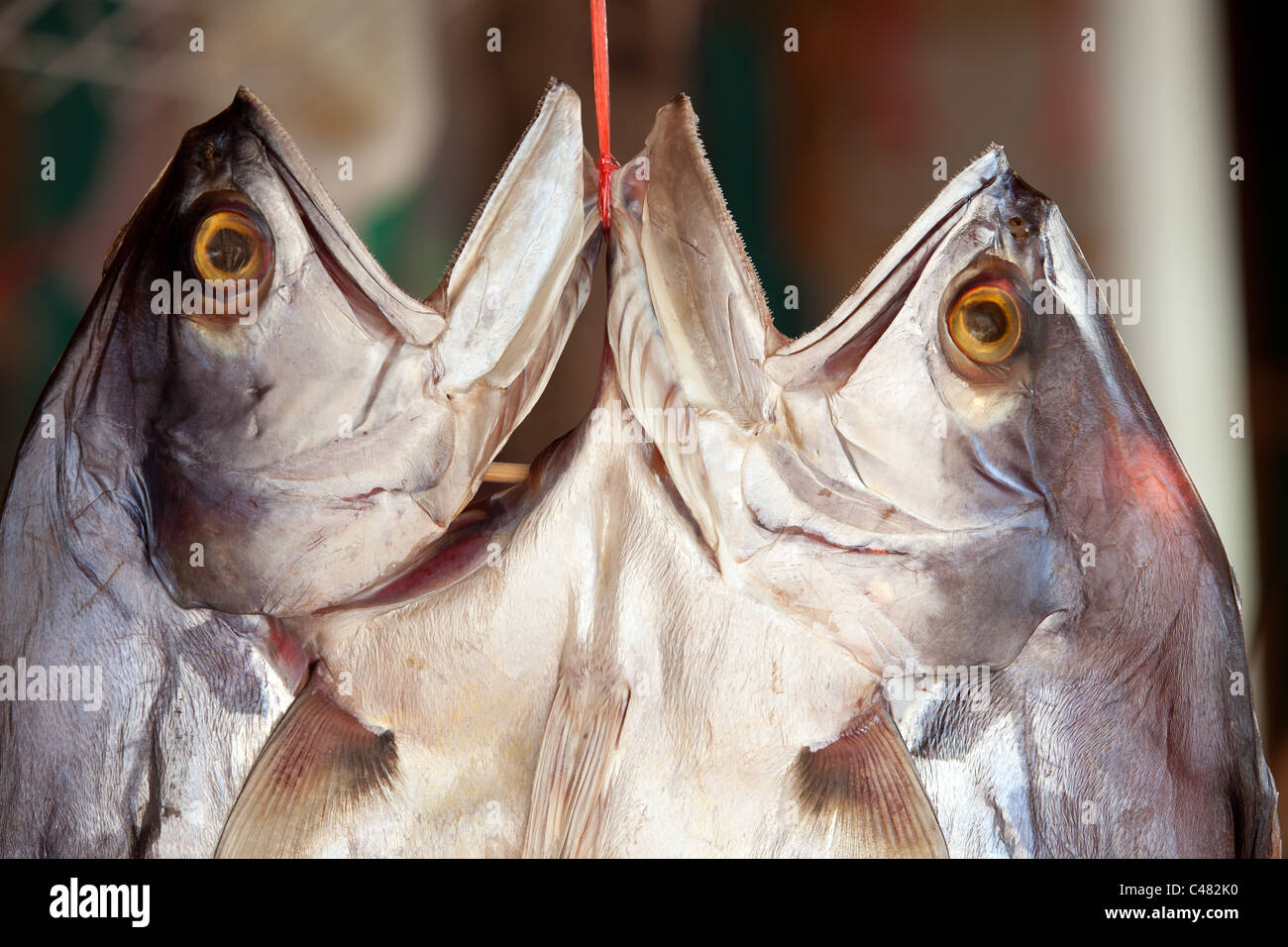 Tagliare il pesce in due parti appeso nel mercato asiatico per l'asciugatura Foto Stock