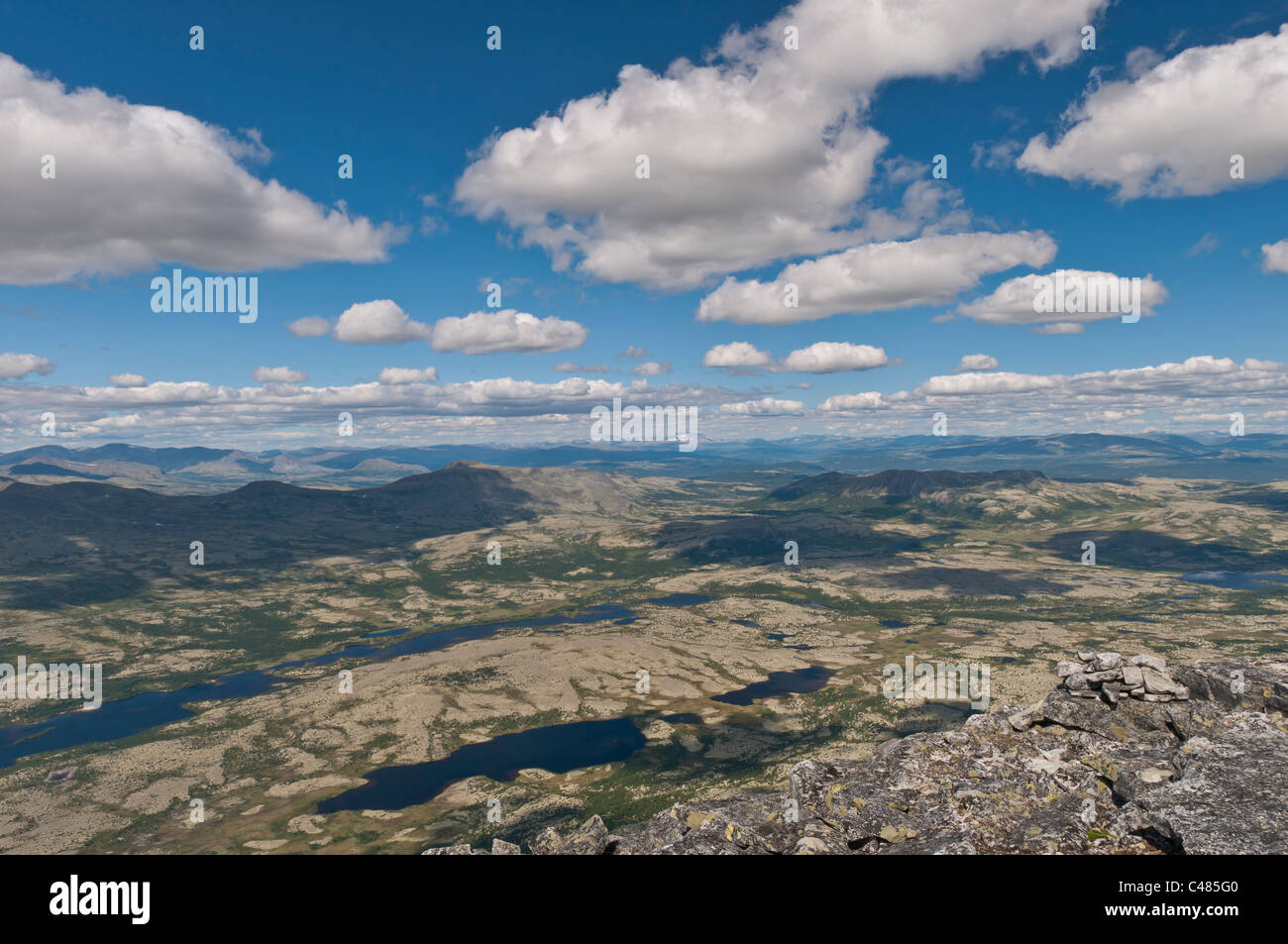 Blick Ueber das Alvdal Vestfjell, Hedmark, zum Berg im Snoehetta Dovrefjell-Sunndalsfjella Nationalpark, Oppland, Norwegen Foto Stock
