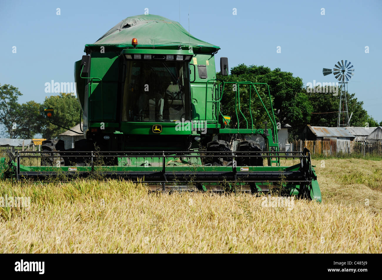 URUGUAY Bella Uniòn , 2100 ettari di azienda agricola vicino al fiume Uruguay, il raccolto di riso con mietitrebbia John Deere Harvester Foto Stock