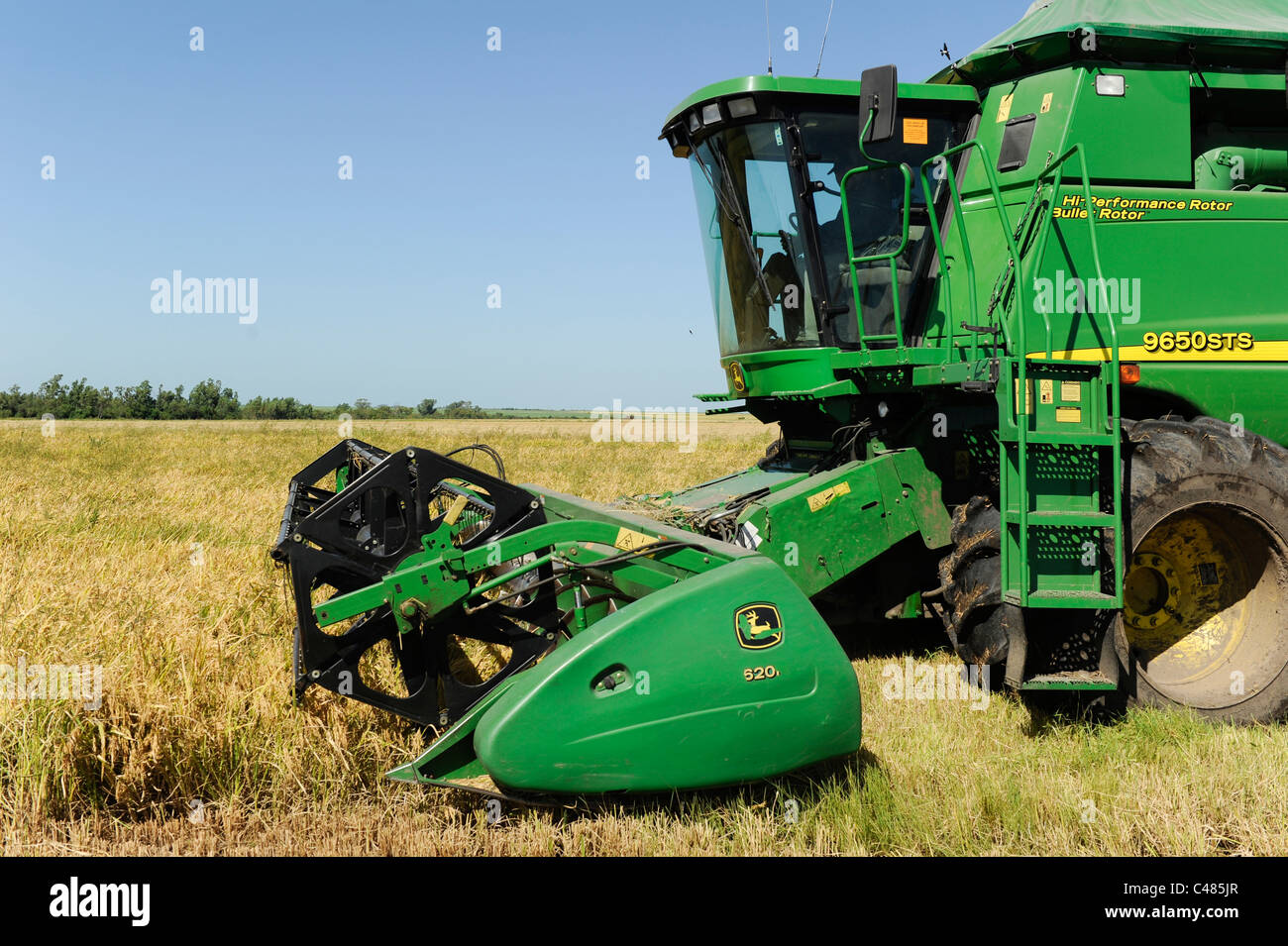 URUGUAY Bella Uniòn , 2100 ettari di azienda agricola vicino al fiume Uruguay, il raccolto di riso con mietitrebbia John Deere Harvester Foto Stock