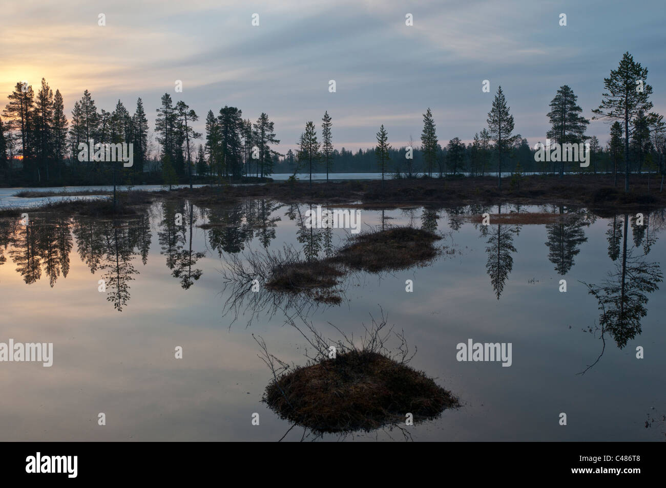 Helle Mainacht un einem vedere nel Norrbotten, Lappland, Schweden, luminoso maynight, Svezia Foto Stock